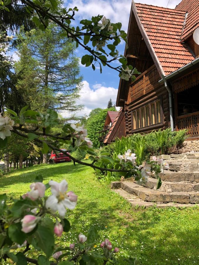 Sadyba Vanda Orjavcsik Kültér fotó