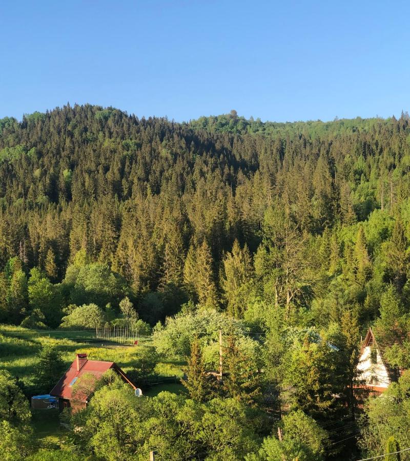 Sadyba Vanda Orjavcsik Kültér fotó